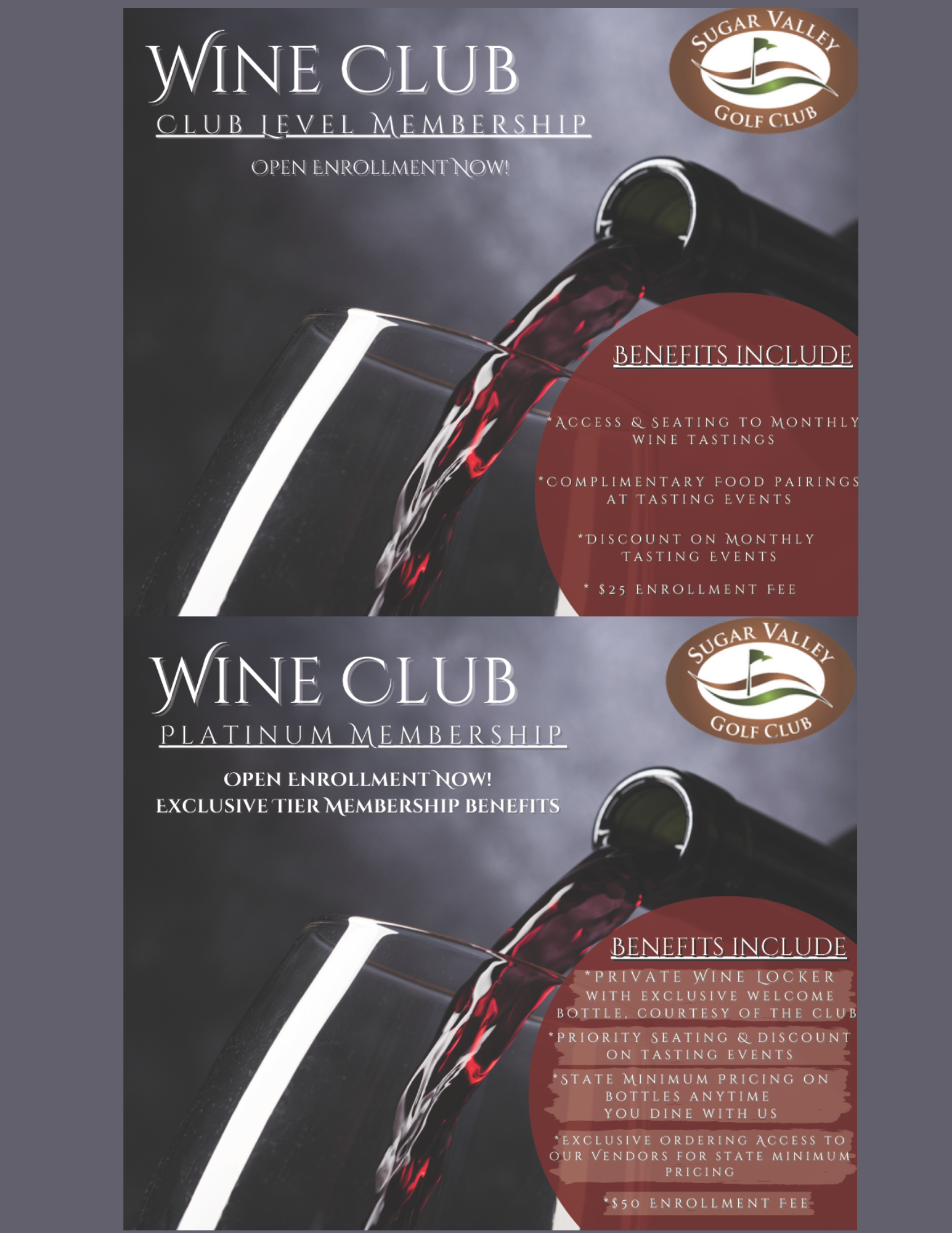 Wine Promo 2